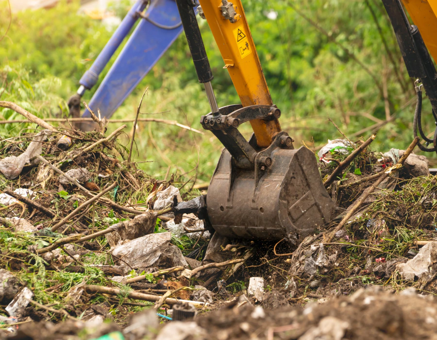 land clearing services waterloo al